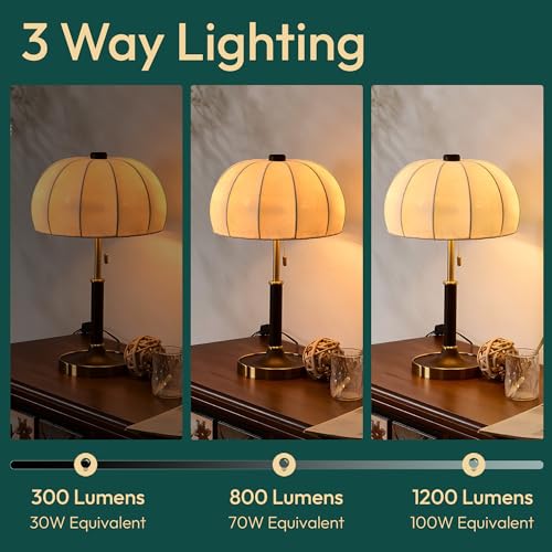 Image of ALAMPEVER 3 Way Light Bulbs 2 Pack, 30 /70 /100W Equivalent, Bright ST19 LED Light Bulb, 2700K Soft White, 300 /800 /1200LM, 3 /5 /8W, E26 Base, Non-Dimmable, Ideal for Living Room, Bedroom, Home Office