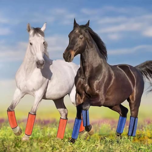Image of Fly Boots for Horses, Mesh Leg Wraps Comfortable Horse Leggings, Breathable Mesh Design, Set of 4(Rose red, M)