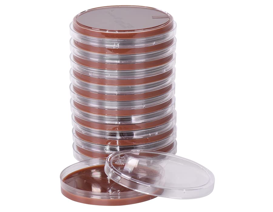 Chocolate Agar, (gc Agar Base con 1% Bobino hemoglobina y suplemento de koenzyme), para exigentes con bacterias, 15x 109.4yard placa, pedido por la