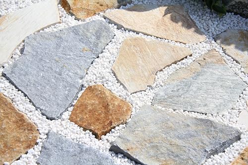 ʍ  100Y VR zCg ϗtA Ԓd eX O\| ԏK[fjO ~G}  2(6`9) (, 5kg)