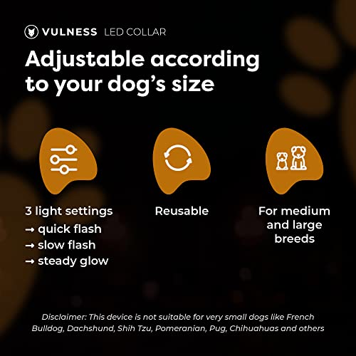 Vulness Led Collar For Dogs | Light Up Rechargeable Usb 3 Settings Reflective Glow Walking At Night Adjustable Collars Lighted Dark Breed Large Medium Small Dogs (Howling Green) #TOP4