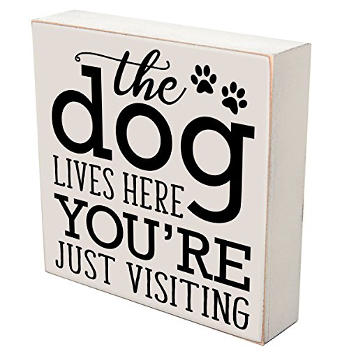 LifeSong Milestones The Lives Here Your Just Visting Pets Gifts for Dog cat Pet Lover Gift Box Birthday Gifts for Pets 6x6 (The Best Things) (The Dog Lives Here)