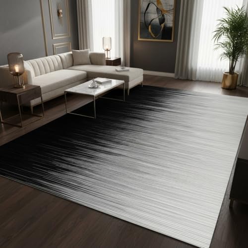 Black and White Minimalist Striped Geometric Texture Area Rug 4x6