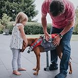 HUNTER Hunde-Schwimmweste MOSS, Farbe: rot, maximale Sicherheit durch starken Auftrieb, individuell verstellbar, reflektierende Elemente, praktische Handschlaufe, Größe: M