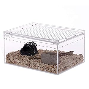 NANEEZOO Acryl-Terrarium Magnetischer Reptilien-Koffer 20,3 cm