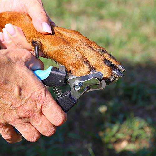 Barf-alarm Tagliaunghie Grande di Alta qualità