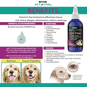 Eye-Cleaner-for-Dogs-Cats-Eye-Wash-Drops-Tear-Stain-Remover-Wipes-Itchy-Allergy-Eye-Drops-Relief-Meds-Pet-Stuff-Essential-Supplies-Support-Runny-Eyes-Best-Allergy-Medication-for-Dog-4-Oz - Cucciolini Doodles   Eye-Cleaner-for-Dogs-Cats-Eye-Wash-Drops-Tear-Stain-Remover-Wipes-Itchy-Allergy-Eye-Drops-Relief-Meds-Pet-Stuff-Essential-Supplies-Support-Runny-Eyes-Best-Allergy-Medication-for-Dog-4-Oz