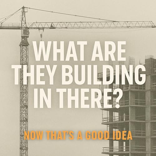 What Are They Building In There?