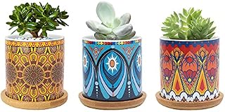 Warmplus 7.5CM Succulent Plant Pot, Ceramic Mandala Pattern Cactus Plants Pot, Small Plant Pots for Indoor Outdoor Plants with Bamboo Tray, and Great for Home Office Decor, Set of 3