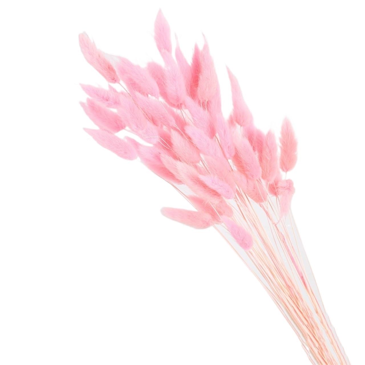 Sztuczna trawa Pampas, Wielokolorowe pampasowe ogony króliczka suszone kwiaty 60 lub 80 szt. Ślub Boże Narodzenie dekoracje dla domu DIY(Meat Pink,60pcs)