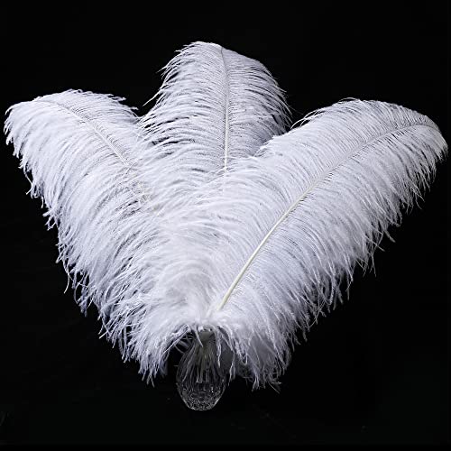 Larryhot White Large Ostrich Feathers - 16-18 inch 10pcs Feathers