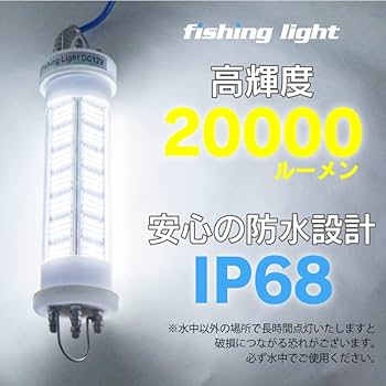 Amazon.co.jp: FUNKS 集魚灯 ホワイト 200w LED 集魚ライト 水中