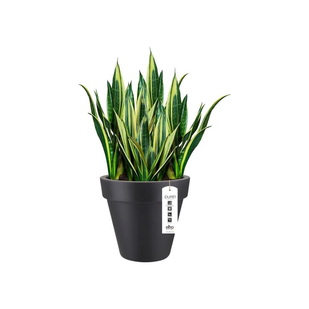 elho Pure Round 40cm Blumentopf - Anthracite