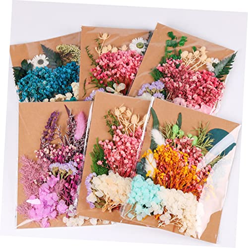 Flores secas prensadas para manualidades 1 bolsa miniatura 5