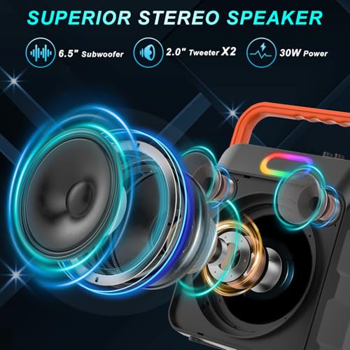 Portable Karaoke Machine with 2 Wireless Mics & Bluetooth, Bass/Treble Adjust, LED Lights, TF/USB, AUX, FM, TWS