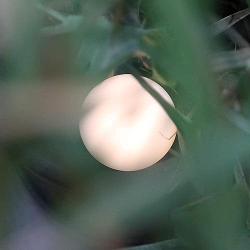 Miniatura 7 de Anico EASZZZ - Luz nocturna para bebé, lámpara de noche de guardería para lactancia, lámpara de noche táctil de silicona suave sin BPA, cuidado de