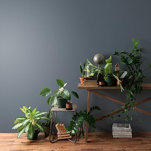 ǎ{ ̂t ǎ EBAX NX n u[ FE-76036 92cm×15m {Ht Morris X NjNY v[Ypbg y󒍐YiELZsz