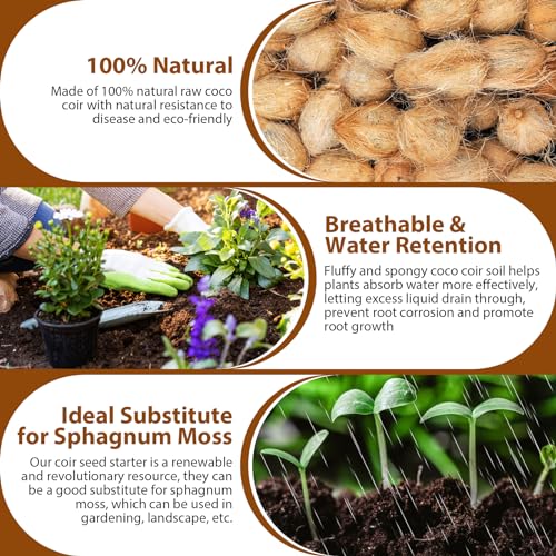 image for Legigo Pack of 10 Organic Coco Coir Bricks- 100% Natural Compressed Co