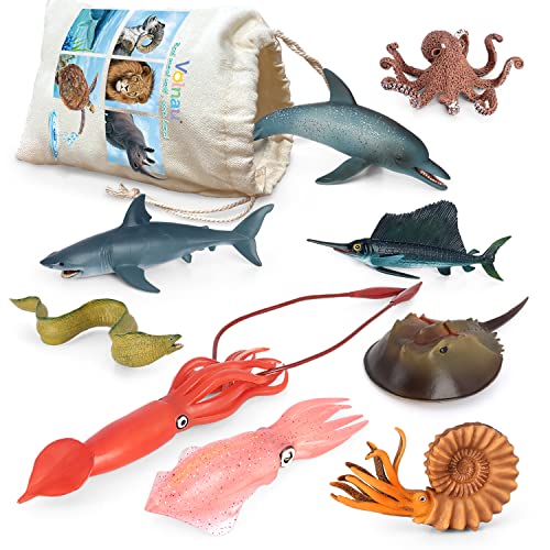 Top 10 Best Pacific Ocean Animals Top Picks 2023 Reviews