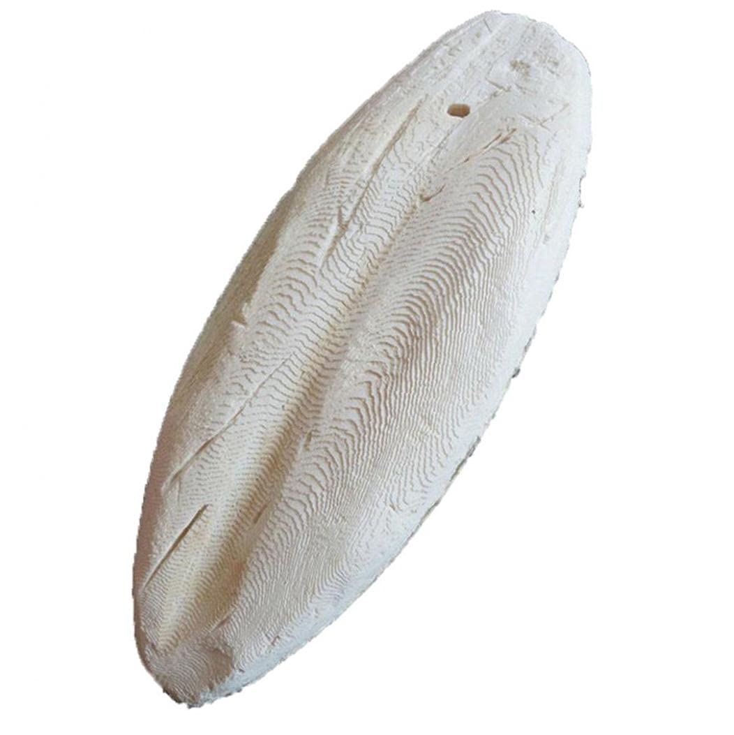 Tossper White 1Pc Cuttlebone Cuttlefish Sepia Bone Cuttle Fish Bird Food Calcium Pickstone Parrot Birds Teeth Grind Training