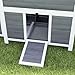 PawHut Wooden Chicken Coop, 39