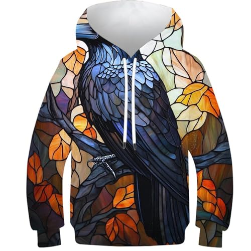 Sweat à capuche enfant corbeau vitrail fini les vêtements ternes 9-11 ans