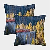 ★ Regalos y decoraciones perfectos: decora tu casa con esta funda de colchoneta. Agregue un toque de moda a su sofá, dormitorio, ropa de cama, Sala de estar, coche y Oficina. La funda de almohada también es un regalo cálido y perfecto para la anfitriona, navidad, halloween, festivales, cumpleaños o calefacción.