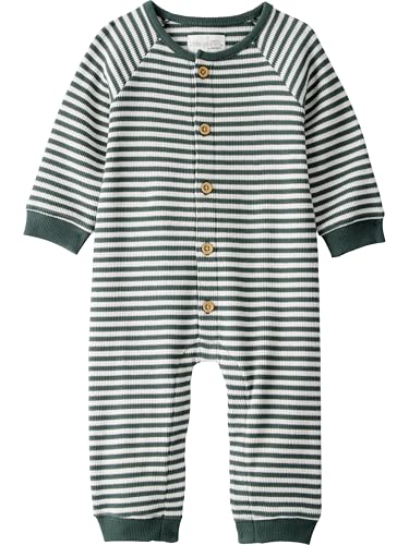 little planet by carter's unisex-baby Jumpsuit Made With Organic Cotton