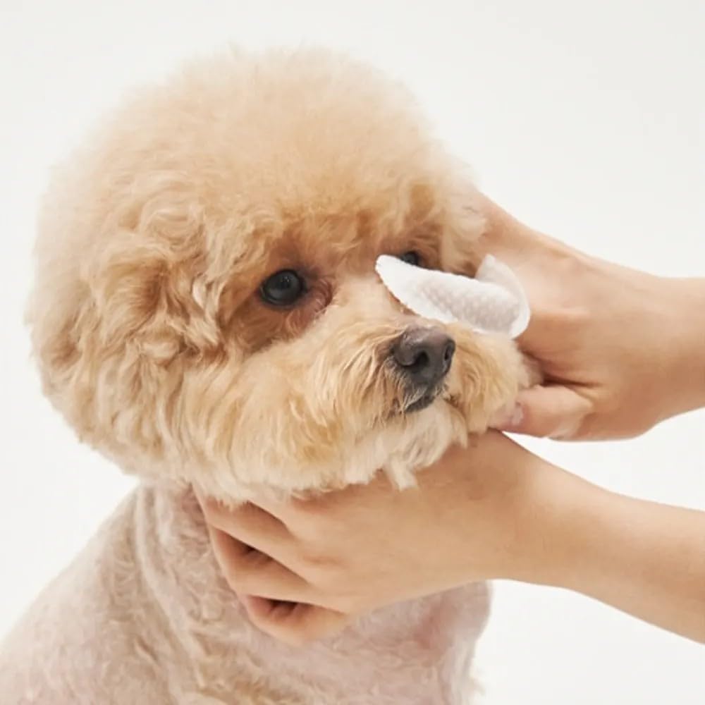 H&H Pets Disposable Finger-Style Ear & Facial Dry Wipes - Ultra Soft, Fragrance Free, Hypoallergenic, 60 Count - image 5