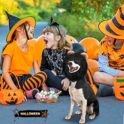 Vivifying Löwenmähne für Hunde, anpassbar Hund Halloween Kostüme Löwenmähne Perücke mit Schwanz für mittlere und große Hund verkleiden (Schwarz)