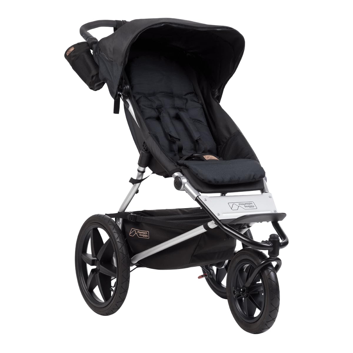 Mountain Buggy 2019 Terrain Active Stroller