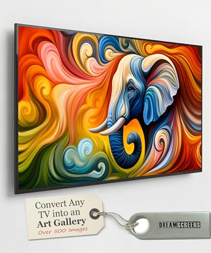 Dreamscreens Digital Art USB - TV Art - Dream Digital Art Edition