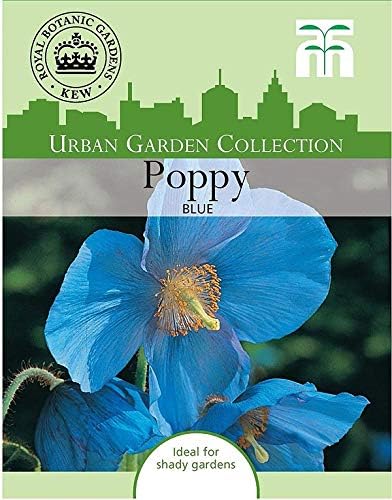 Amazon 輸入種子 Thompson Morgan Urban Garden Collection Poppy Blue Meconopsis アーバン ガーデン コレクション ポピー ブルー メコノプシス グランディス トンプソン モーガン 花