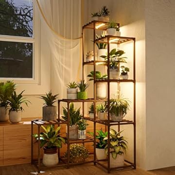 Top Indoor Plant Stands That Transform Your Space with Light 1 best indoor plant stands for multiple plants with lights