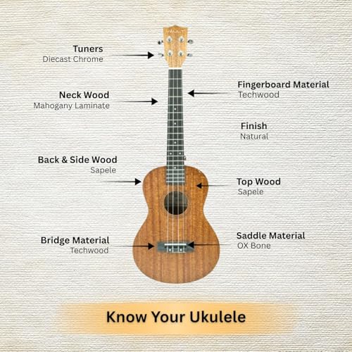 Image of Vault UK-100T 26 inch Arched Back Tenor Ukulele With Gig-Bag & E-Book - Natural