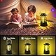 Flintronic 2 Stück LED Campinglampe Tragbar, IPX4 Wasserdichte Camping Licht, Batteriebetrieben Campinglampe, Dimmbare COB-Helligkeit & 3 Lichtmodi, für Outdoor, Nachtangeln, Garten, Notfall Ausfälle