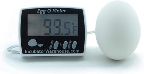 Egg-o-Meter - Un mejor termómetro de huevo