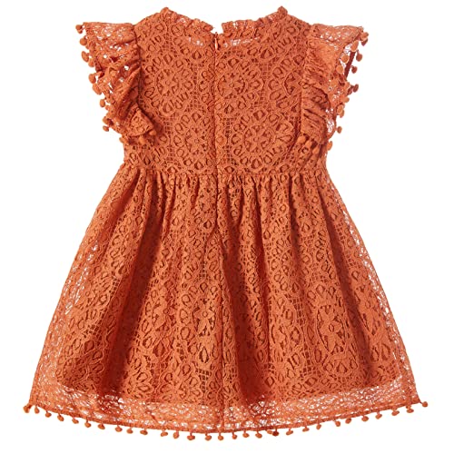 Niyage Toddler Girls Elegant Lace Pom Pom Flutter Sleeve Party Princess Dress2