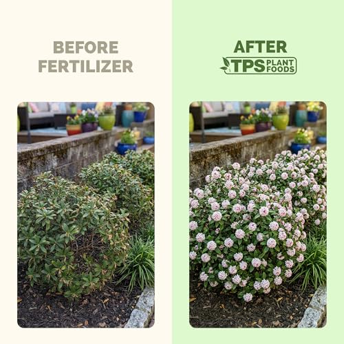 Flower Food fertilizante líquido 32 oz miniatura 3