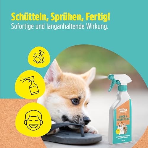Green Hero Hunde & Katzen Stopp 500ml gegen Urinieren | Hundeschreck, Katzen Schreck Spray auch als Kratz- & Knabberschutz | Hundeabwehrspray Innen- & Außenanwendung | Mit Eukalyptus Citriodora Öl