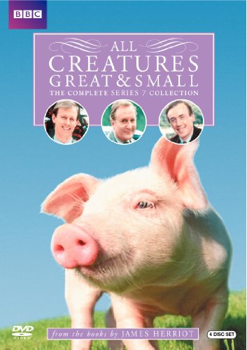 All Creatures Great & Small: The Complete Series 7 Collection (Repackage) image 2
