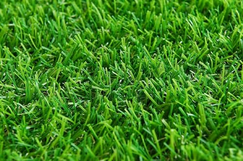 Image of LOOM 35 mm Artificial Grass Green Mat Carpet | High Density Premium Lawn Turf | Indoor & Outdoor Use | Washable, Dust & Waterproof Mats | Skin Friendly (Size - 2 x 3 feet)