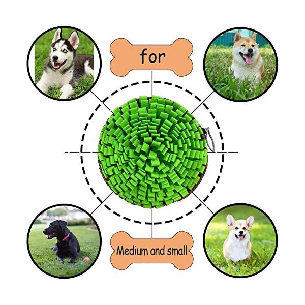 NEECONG-Dog-Snuffle-Mat-Slow-Feeder-Bowl-Simulating-Grassland-for-Boredom-Encourages-Natural-Foraging-Skills-for-Pet-Treat-Indoor-Outdoor-Stress-Relief-Portable-and-Compact Dog Training Mat