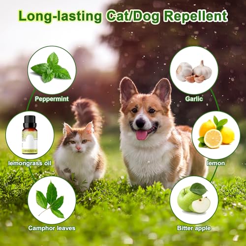 24Pack Katzenabwehrmittel Outdoor Indoor - Natürliches Pfefferminzöl Katzenabschreckung, Katzen dauerhaft vom Hof fernhalten, streunende Katzen Hunde fernhalten, wirksames Hundeabwehrmittel für Hunde