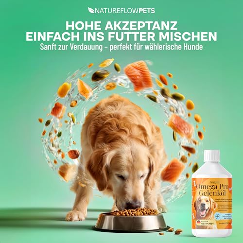 Omega Pro Gelenköl Mix TESTSIEGER - Besser als reines Lachsöl Hund für Gelenkstoffwechsel bei Arthrose - Ideales Omega 3/6 Profil aus Fischöl (Lachsöl für Hunde) mit Leinöl, Hanföl, Borretschöl