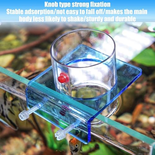 Alimentador Fluorescente para Peces con Dosificación Visible en Acuarios 5