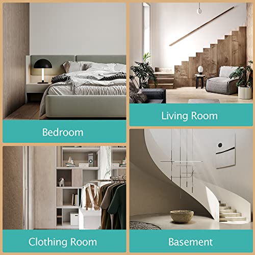 Kesnos 2500 Sq. Ft Large Dehumidifier For Home And Basement With 6.56Ft Drain Hose And Front Water Tank, 24Hr Timer And Auto Defrost Ideal For Large And Medium Sized Rooms, Bedrooms, Laundry Rooms #TOP6