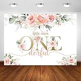 Avezano Blush Pink Floral 1st Birthday Party Backdrop for Girl Miss Onederful Party Photography...