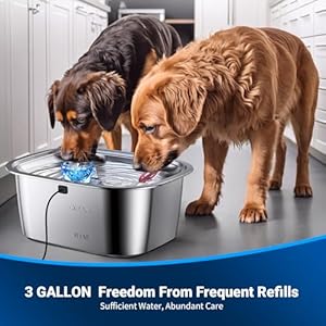 Dog water fountain for large dogs stainless steel dog water fountain 3 gallons pet fountain with 4pack filters extra big dog water bowl dispenser inside cat drinking bowls quiet pump   cucciolini doodles