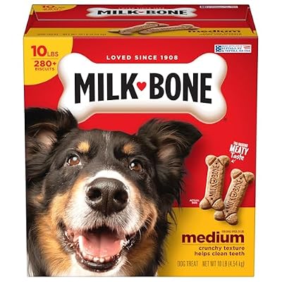 Milk-Bone Original Dog Treats Biscuits for Medium Dogs, 10 Pound